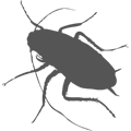 Cockroach Icon